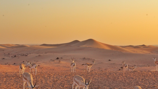 ajit-sandhu-rJ9VyGnaNyM-unsplash