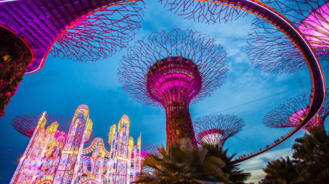 Supertree garden at night, garden by the bay_568311985