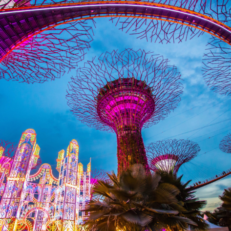 Supertree garden at night, garden by the bay_568311985